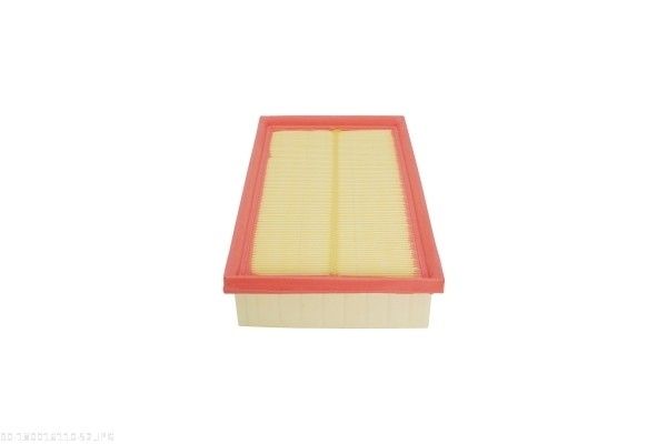AUTOMEGA 180016110 Air Filter