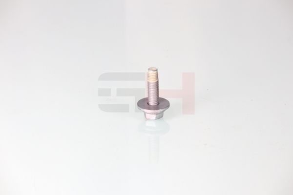 Vedruamordi tugilaager, GH GH-391511