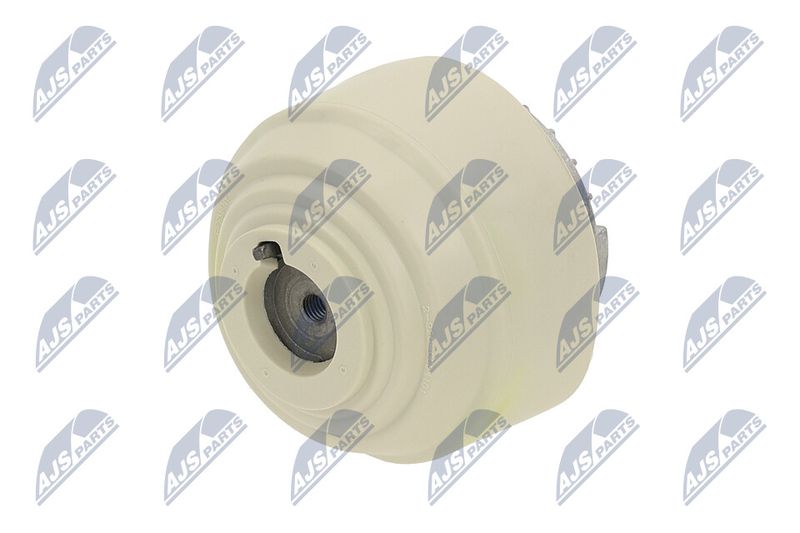 Paigutus, Mootor, NTY ZPS-ME-100