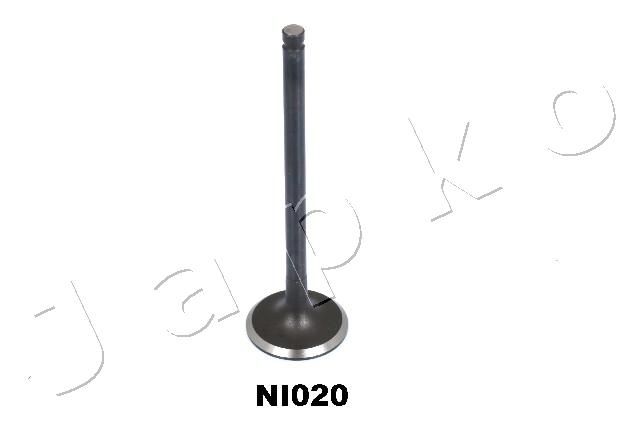 5NI020_1.JPG