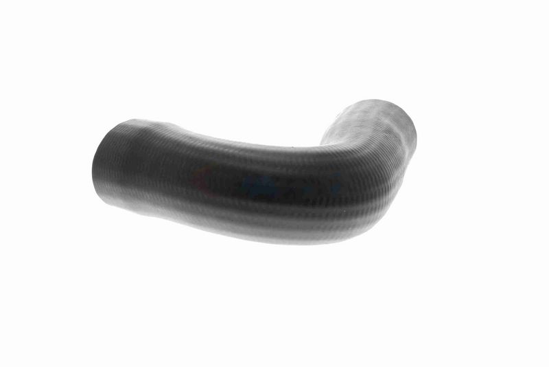 VAICO V22-1100 Charge Air Hose