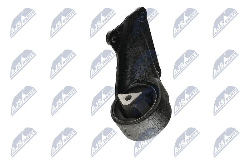 Paigutus, Mootor, NTY ZPS-CH-004