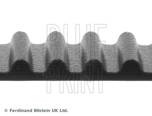 BLUE PRINT ADN17516 Timing Belt