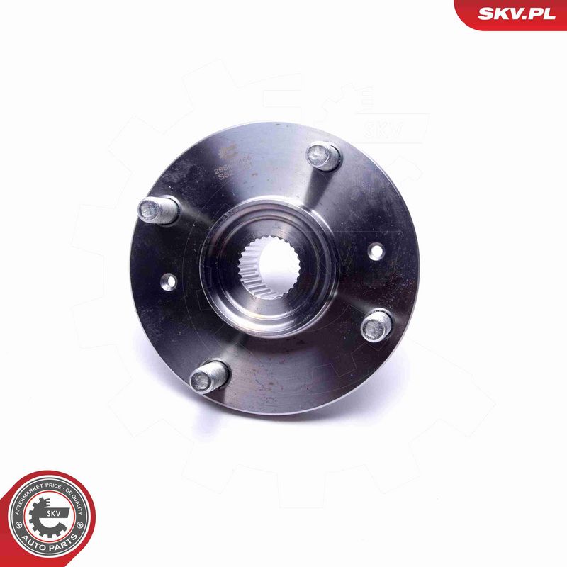 ESEN SKV 29SKV465 Wheel Bearing Kit