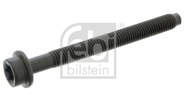 Гвинт голівки циліндра, Febi Bilstein 05541