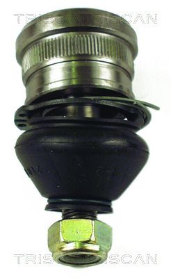 8500681.JPG