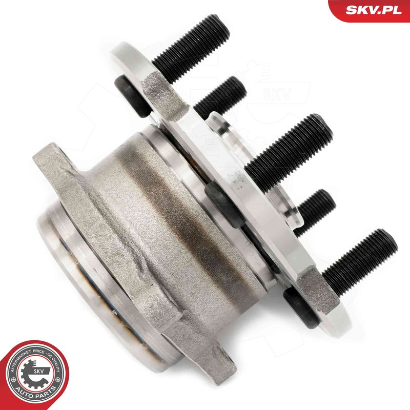 ESEN SKV 29SKV598 Wheel Bearing Kit
