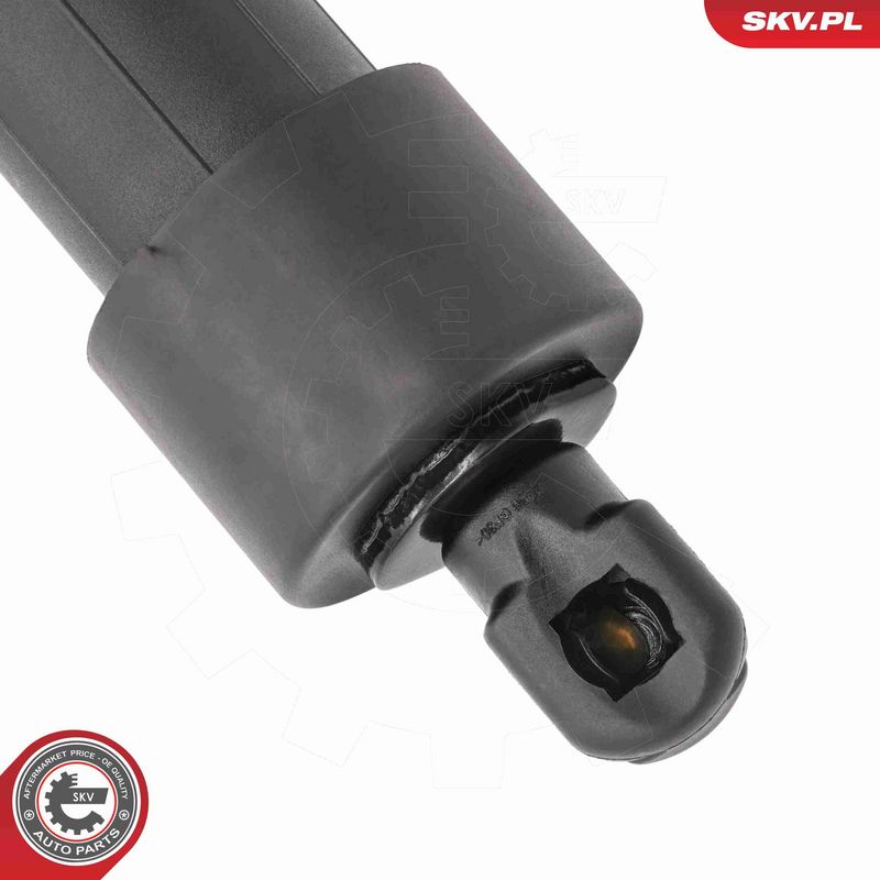 ESEN SKV 52SKV187 Electric Motor, tailgate