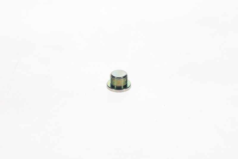 Surub F 002 D13 566 BOSCH
