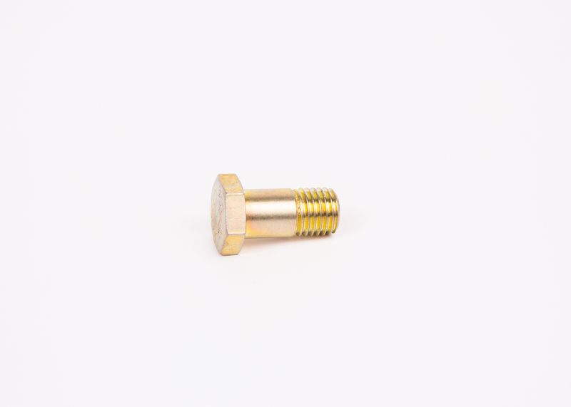 Surub F 002 D13 579 BOSCH