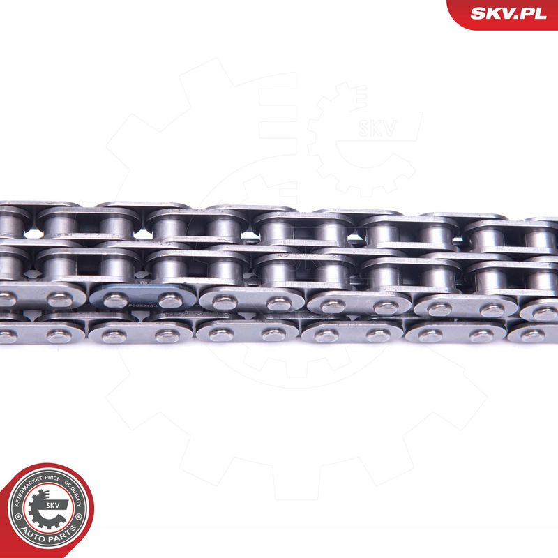 Mootori keti komplekt, ESEN SKV 21SKV245