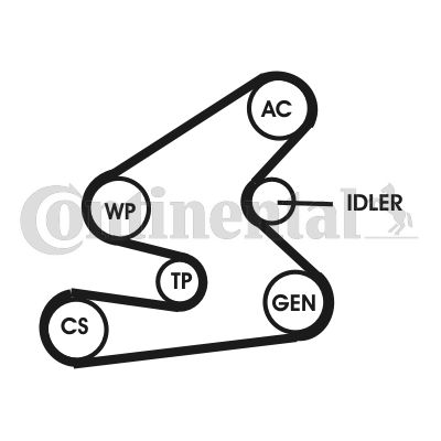 CONTINENTAL CTAM hosszbordás szíj készlet 6PK1623D1