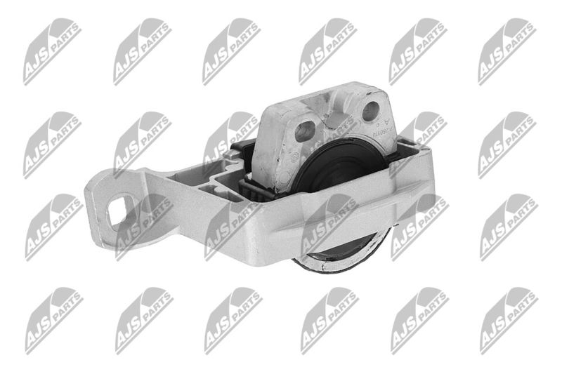 Paigutus, Mootor, NTY ZPS-FR-045