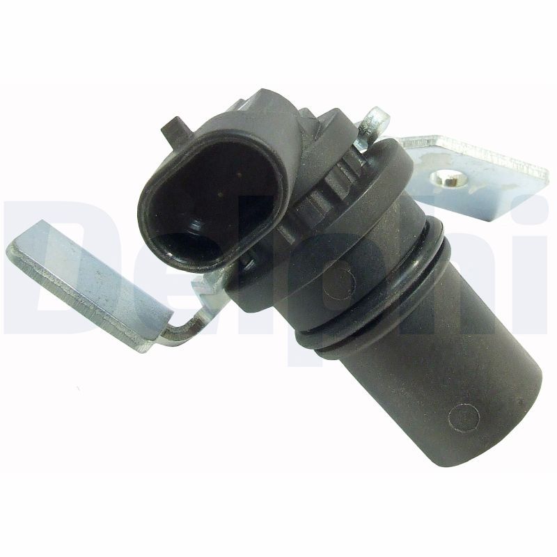 SS10309.JPG