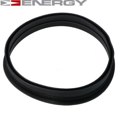 ENERGY G30066 Kuro tiekimo modulis