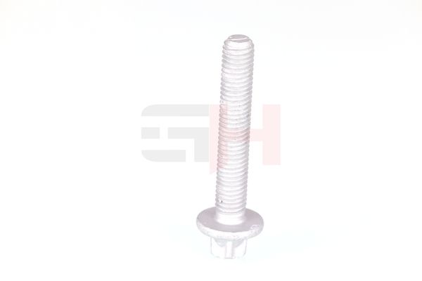 Kruvikomplekt, vedruamort-rattalaagrikorpus, GH GH-397502
