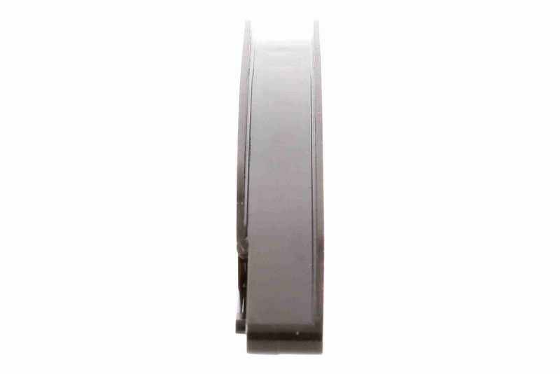 VAICO V20-3168 Guide, timing chain