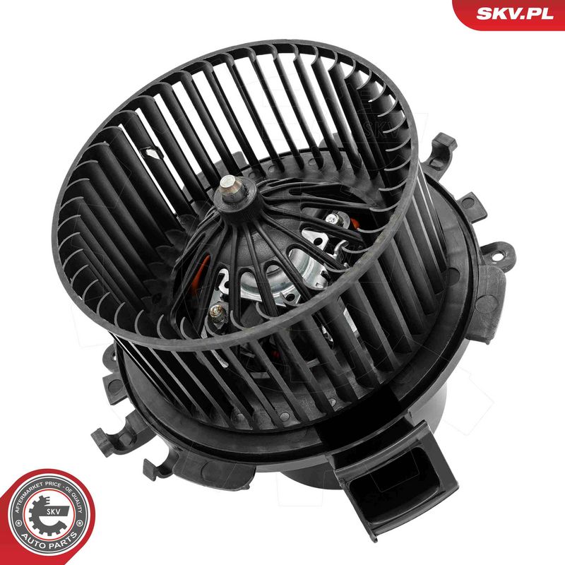 Salongipuhur, ESEN SKV...