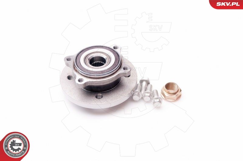 ESEN SKV 29SKV045 Wheel Bearing Kit