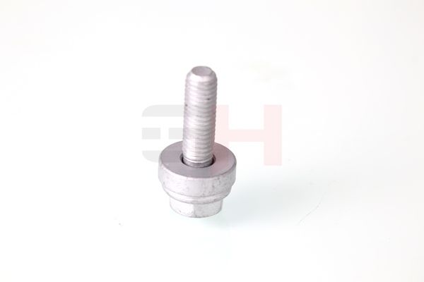 Vedruamordi tugilaager, GH GH-391513