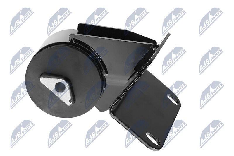 Paigutus, Mootor, NTY ZPS-CH-036