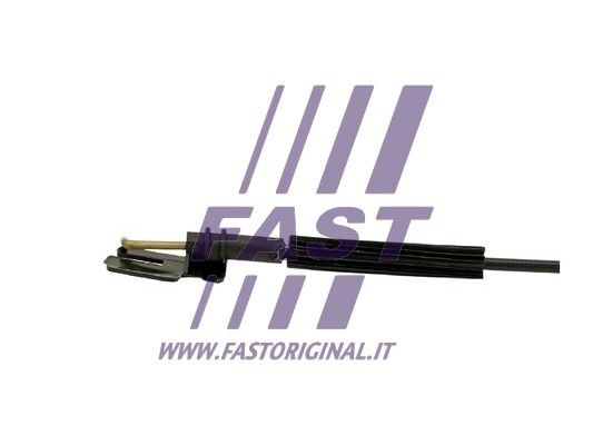 FT95751_2_1.JPG