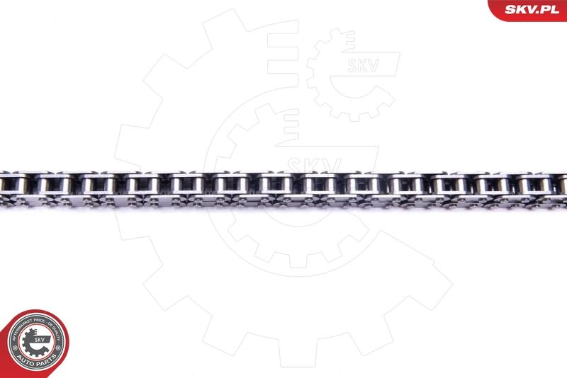 ESEN SKV 21SKV111 Timing Chain Kit