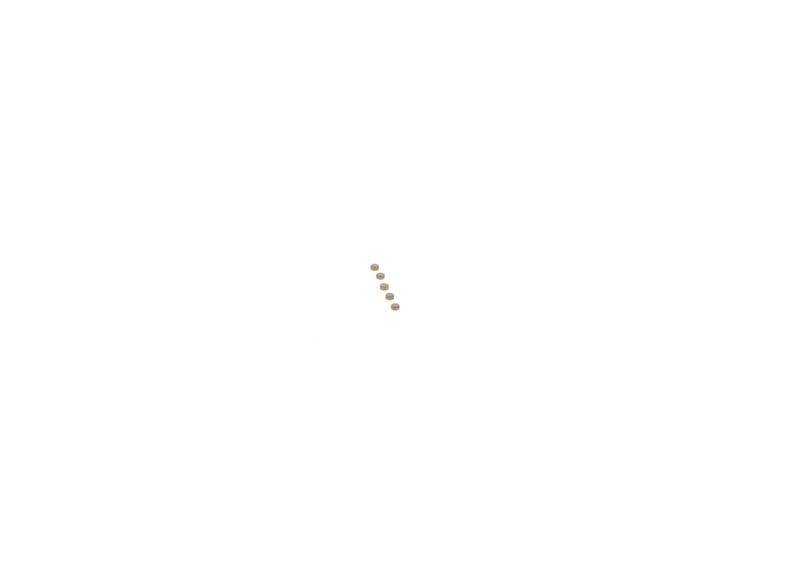 BOSCH F00ZC99731 Repair Kit, common rail system