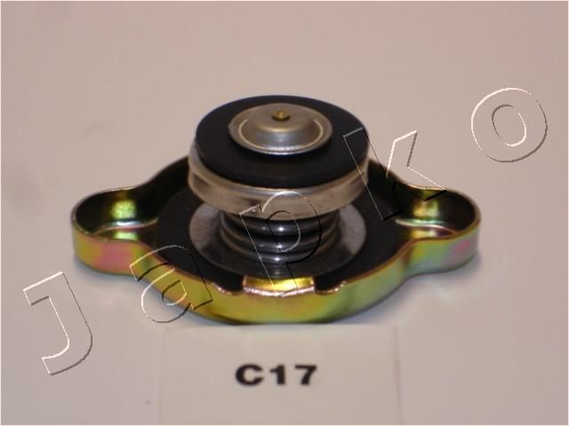 3C17_1.JPG