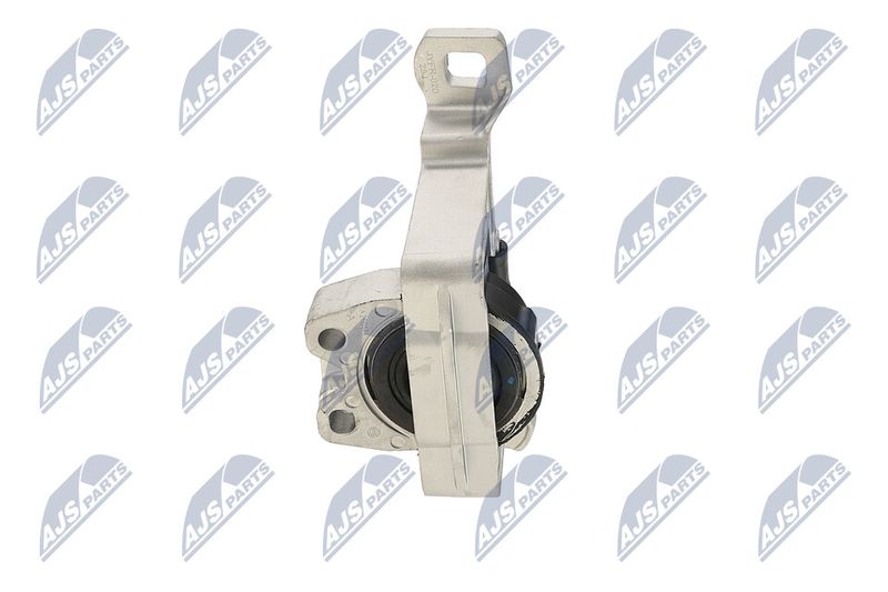 Paigutus, Mootor, NTY ZPS-FR-020