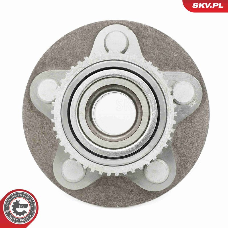 ESEN SKV 29SKV445 Wheel Bearing Kit