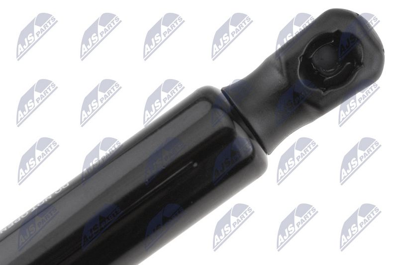 NTY AE-CH-077 Gas Spring, boot/cargo area