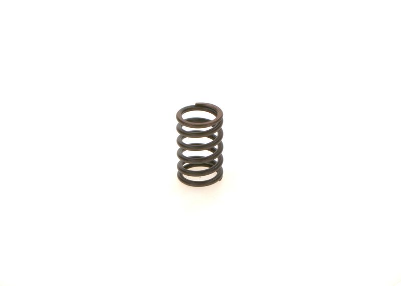 BOSCH 1414619025 Spring