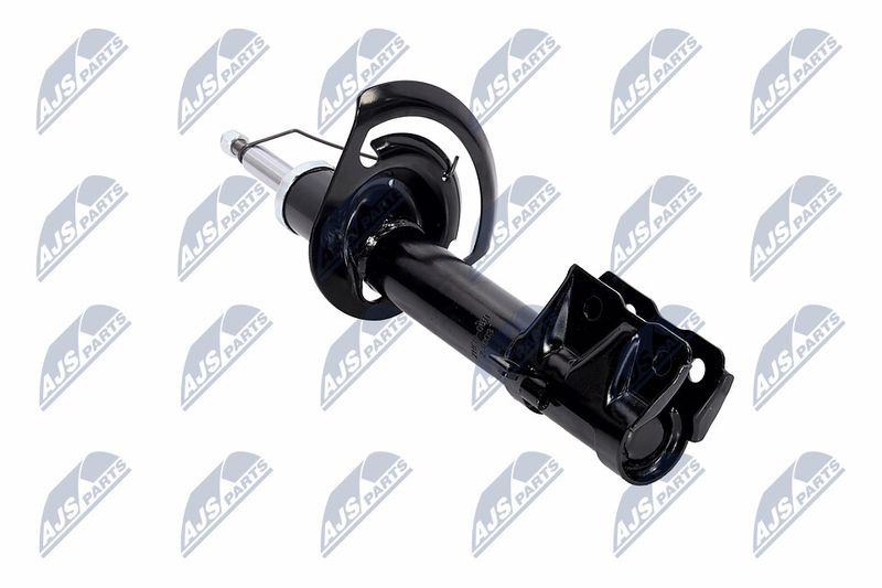 Amort, NTY A-CH-056