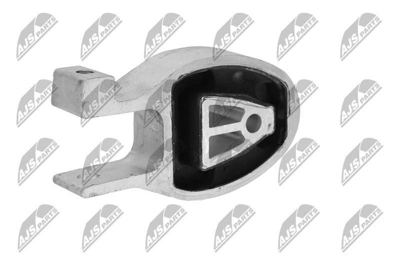 Paigutus, Mootor, NTY ZPS-FR-010