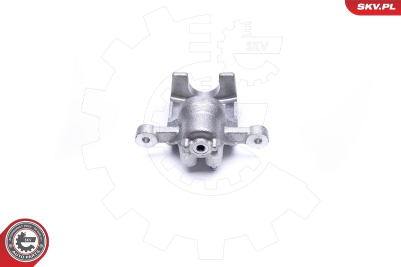 ESEN SKV 42SKV563 Brake Caliper
