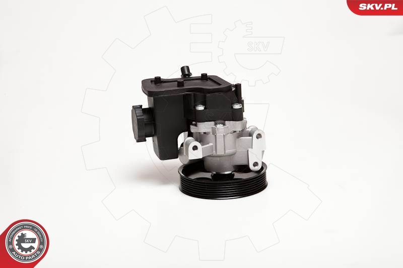 ESEN SKV 10SKV029 Hydraulic Pump, steering