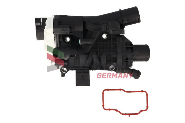 TT0603-2.JPG
