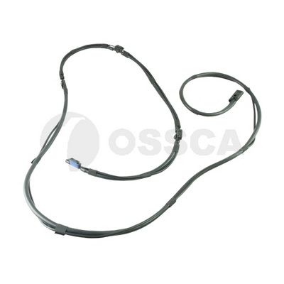 Pesudüüsi toru, OSSCA 65886