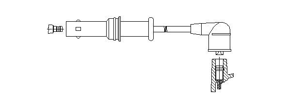 492_.JPG
