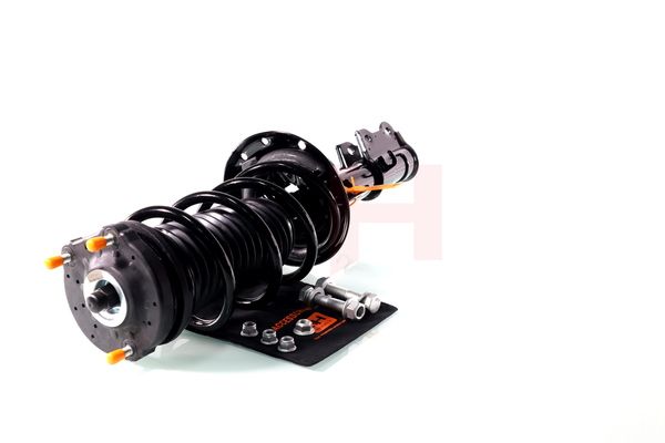 Vedruamort, GH GH-352388C01