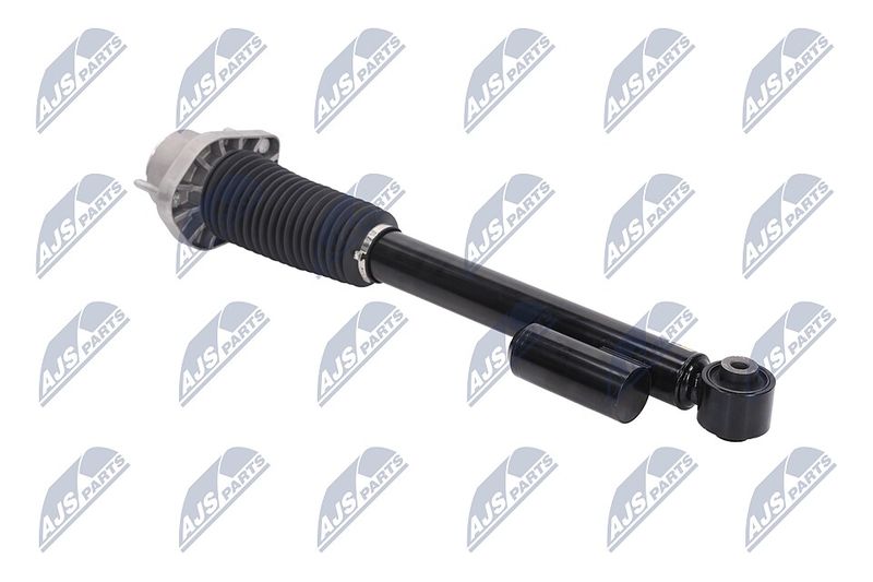 Amort, NTY A-LR-019