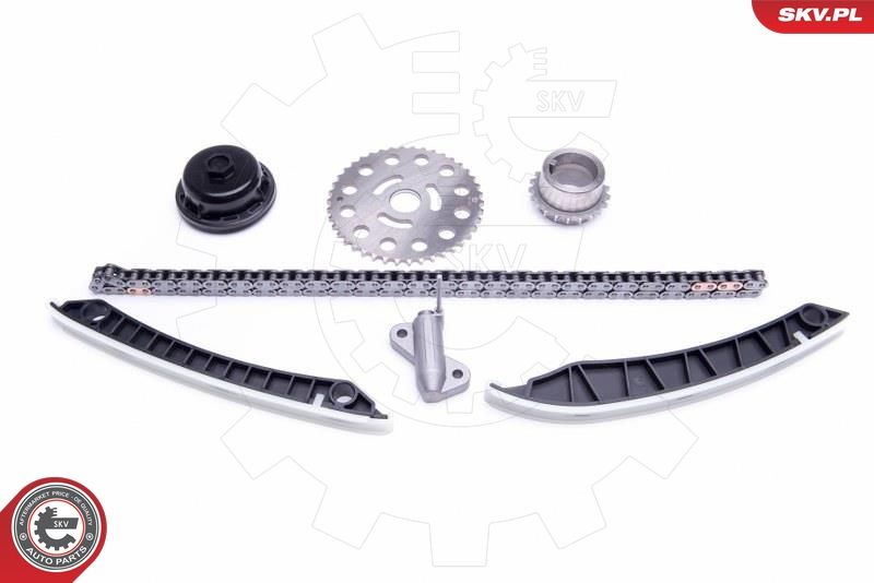 ESEN SKV 21SKV193 Timing Chain Kit