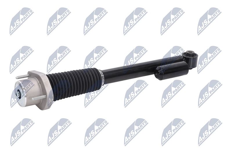 Amort, NTY A-LR-020