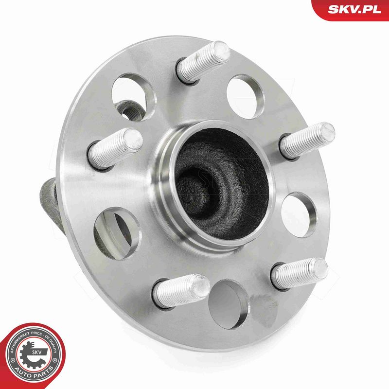 ESEN SKV 29SKV656 Wheel Bearing Kit