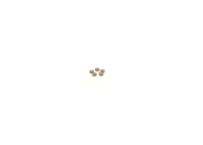 BOSCH 1410067231 Washer
