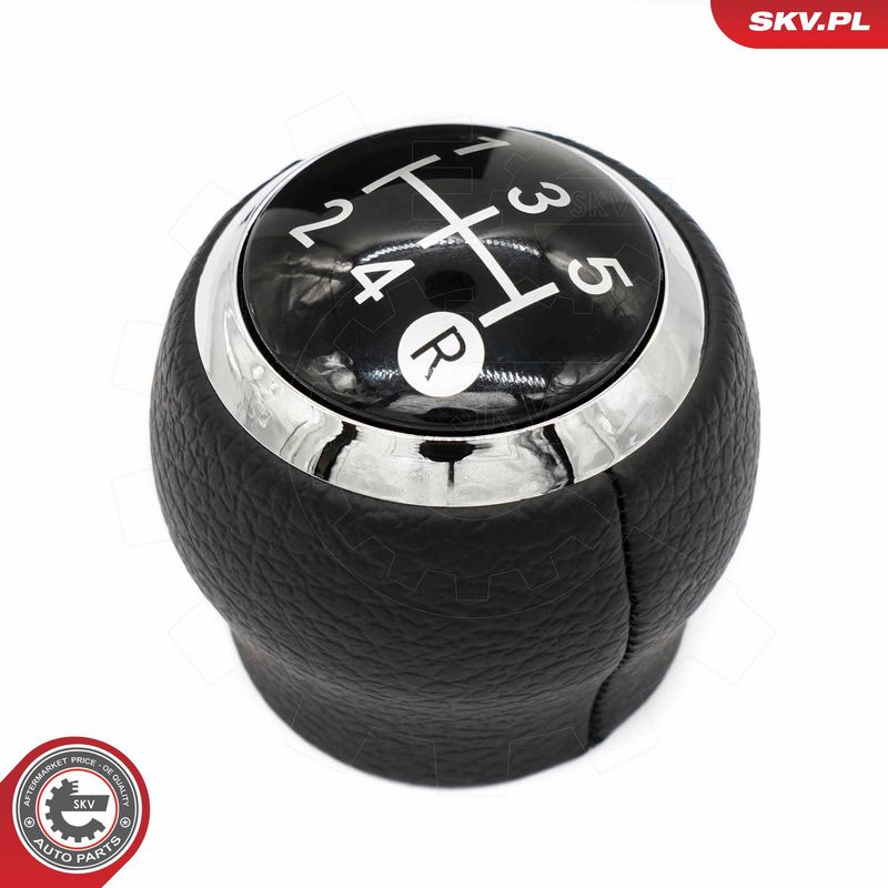 Käigukanginupp, ESEN SKV...