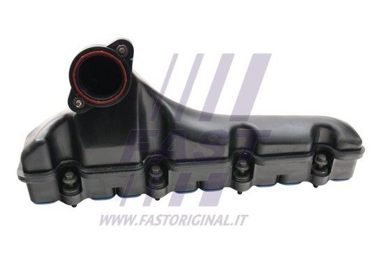FT50406_3_1.JPG
