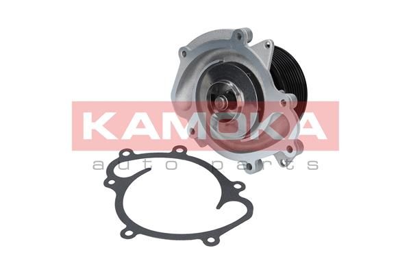 KAMOKA T0191 Water Pump, engine cooling