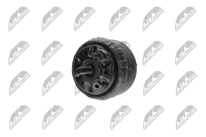 Paigutus, Mootor, NTY ZPS-CH-139